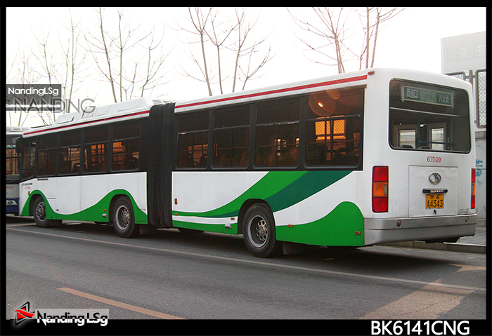 BK6141CNG_IV.jpg