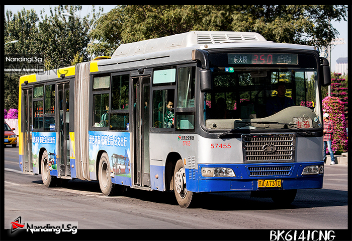 BK6141CNG_VIII.jpg