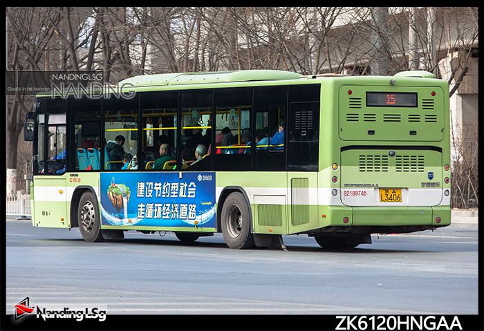 ZK6120HNGAA_II.jpg
