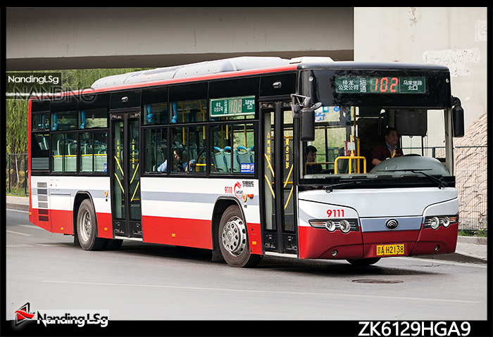 ZK6129HGA9_II.jpg